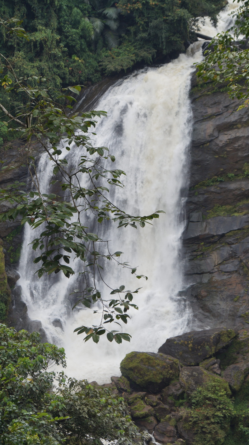 beauty in nature, water drop, 5K, blurred motion, nature, day, solid, waterfall, flowing, power in nature, tree, power, scenics - nature, rock - object
