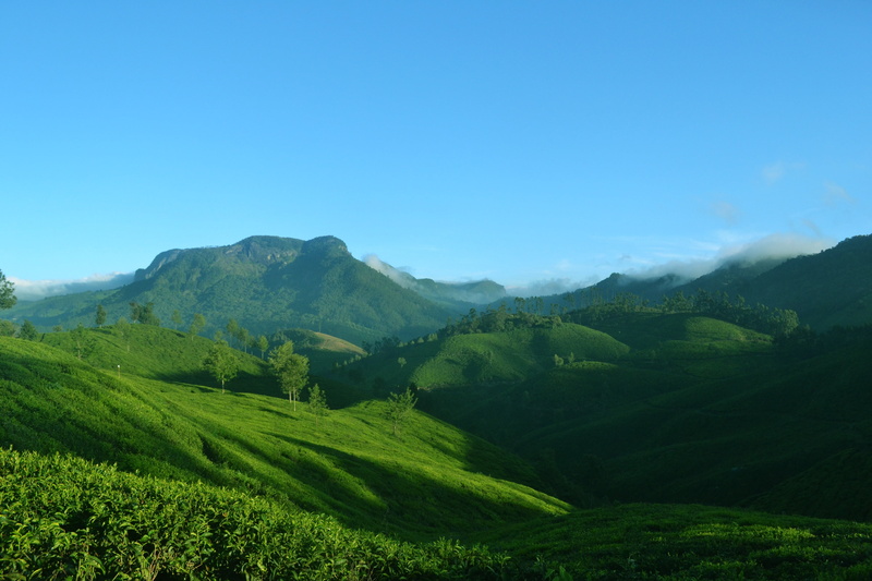 nature, mountain range, beauty in nature, kerala, blue, mountains, no people, environment, field, india, adventure, munnar, 4K, agriculture, tourism, green