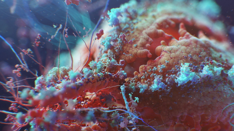 no people, animal themes, 1080P, marine, animal, underwater, nature, digital art colorful macro hiv disease cells, growth, beauty in nature, reef, water