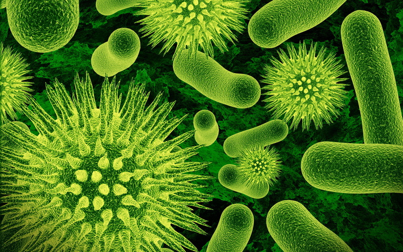abstract, organism, micro, green, hd, 2K