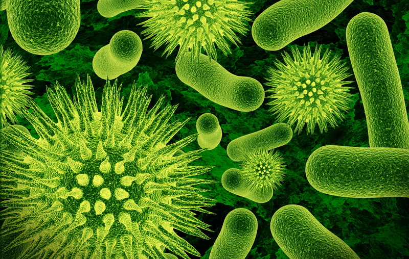 nature, underwater, microbiology, magnification, epidemic, macro, green color, group of animals, multi Colored, microorganisms, bionic, pattern, sea, healthcare And Medicine