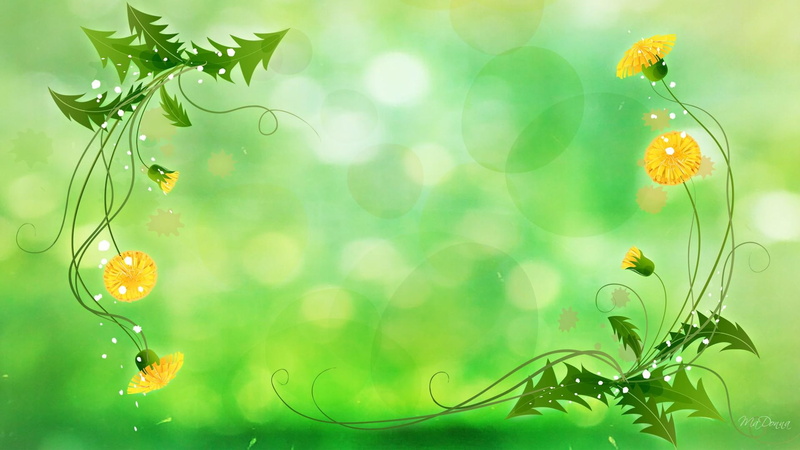 green, summer, weed, 3d and abstract, delion, fever, flower, bokeh, leaves, dandelion, 1080P, spring