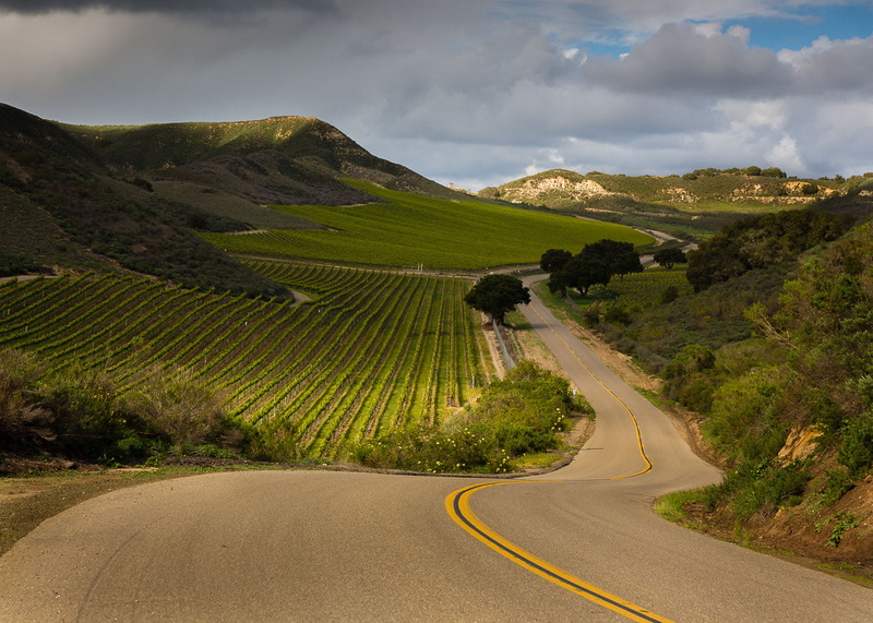 scenics, Light, rural Scene, RRS, Explore, landscape  photography, summer, III, Winery, crop, valley, day, outdoors, gray, asphalt, hill, San  Luis  Obispo