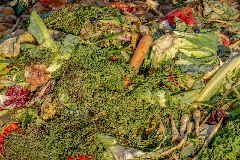 vegetables, high angle view, food and drink, outdoors, food, wellbeing, organic, ecology, biological, recipes with leftovers, fruit, healthy eating, plant part