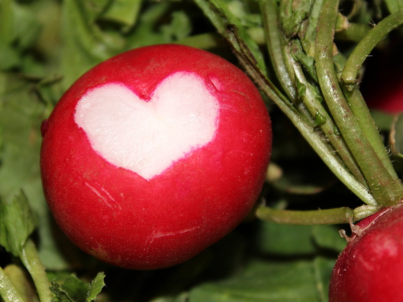 garden, vegetables, eat, frisch, vegetable, photo, food, ripe, organic, harvest, nature, still life, red, food and drink, radishes, radish, vegetarian