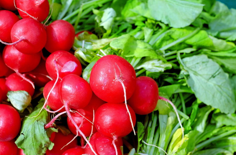 no people, food and drink, farmers market, ripe, vegetable, plant, biological, day, radischen, food, close-up, beetroot, wellbeing, plant part, green color