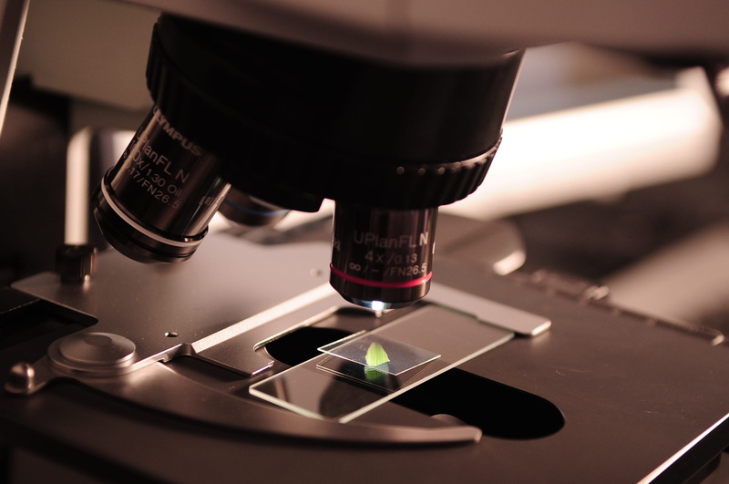 research, scientific experiment, 2K, experiment, no people, analyzing, medical research, laboratory equipment, education, lab, slide, laboratory, industry