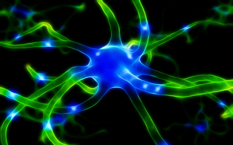 light - natural phenomenon, long exposure, glowing, night, no people, microbe, digital, nerve, close-up, color, light, 1080P, blue, black background