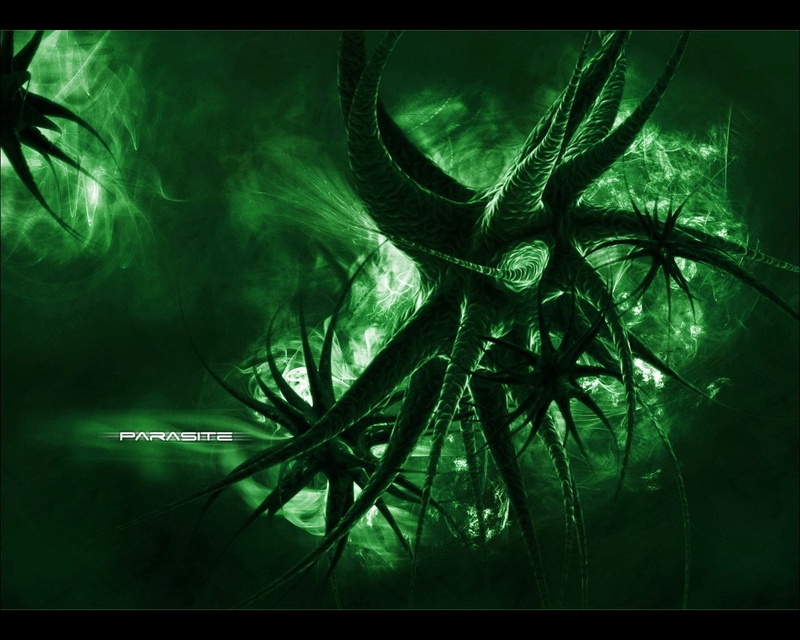 auto post production filter, Pattern, outdoors, plant, Shapes, growth, black background, tangled, sea, no people, illustration, Texture, Germ, Microbe