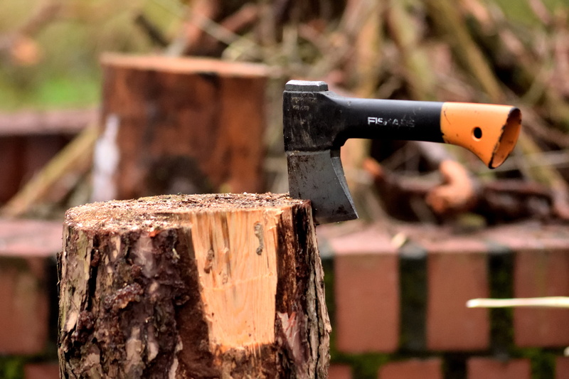 close-up, wood - material, nature, log, timber, fuel, trunk, lumberjack, forest, bark, focus on foreground, wood, outdoors, metal, firewood, sunlight, an outbreak of