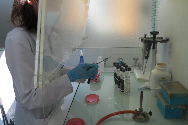 analyzing, danger, indoors, holding, laboratory, medical research, clothing, 4K, table, scientific Experiment, protective glove, working, campaign, experiment