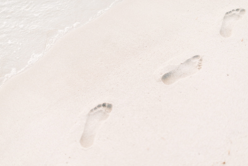 paw print, white color, close-up, absence, beach, printed, left, steps, footprint, land, indoors, photo, sea waves, no people, day, waves, walking, backgrounds