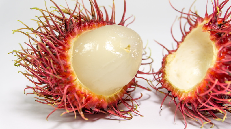 white background, closeup, healthy eating, Background, close-up, ripe, health, asian, thai, tropical, eating, no people, lychee, leaf, exotic, 5K, asia