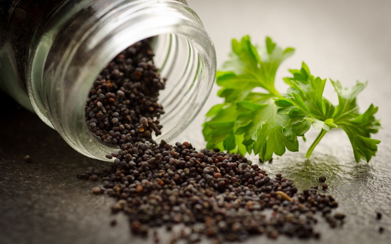 recipe, parsley, 2K, leaves