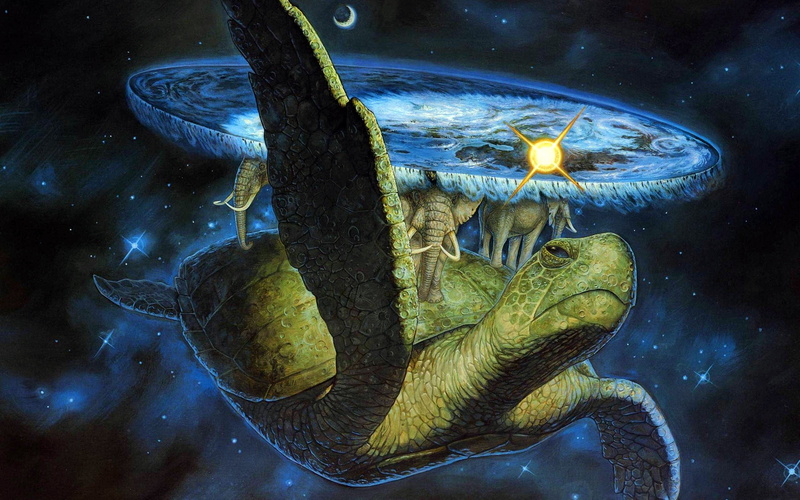 indoors, sea, animals in captivity, water, green Turtle, blue, reef, fish, one animal, animal themes, vertebrate, 2K, underwater, clip, close-up, Discworld Terry Pratchett