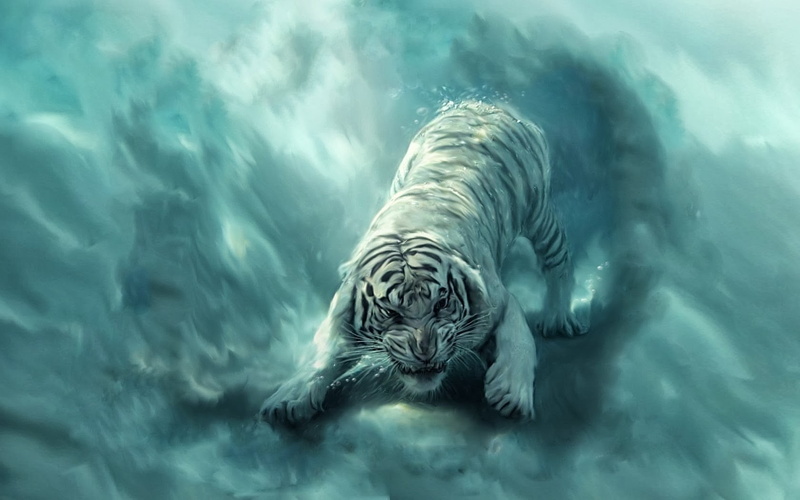 vertebrate, 720P, cat, mammal, water, no people, swimming, day, animal themes, sea, fantasy art, animals, nature, tiger, marine, animals in the wild