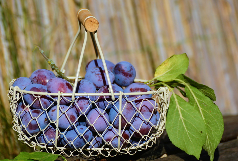 agriculture, leaf, green Color, sweet Food, vitamin, dessert, plant part, gourmet, summer, red, growth, food, healthy Lifestyle, blueberry, berry Fruit