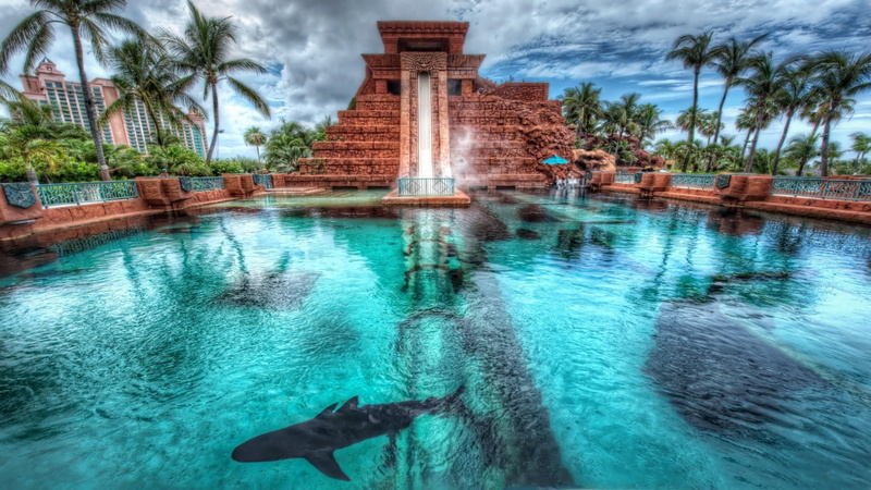 cloud - sky, pool, 4K, tree, built structure, plant, underwater, palm tree, tourism, caribbean, architecture, swimming pool, chute, day, crystal cay marine park