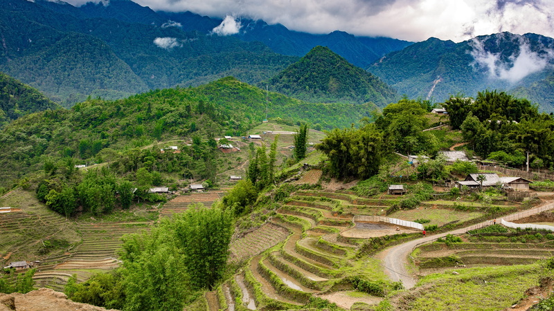 farm, mountain range, agriculture, terrace, tranquility, tranquil scene, terraced field, plantation, landscape, tree, mountain, scenics - nature, plant