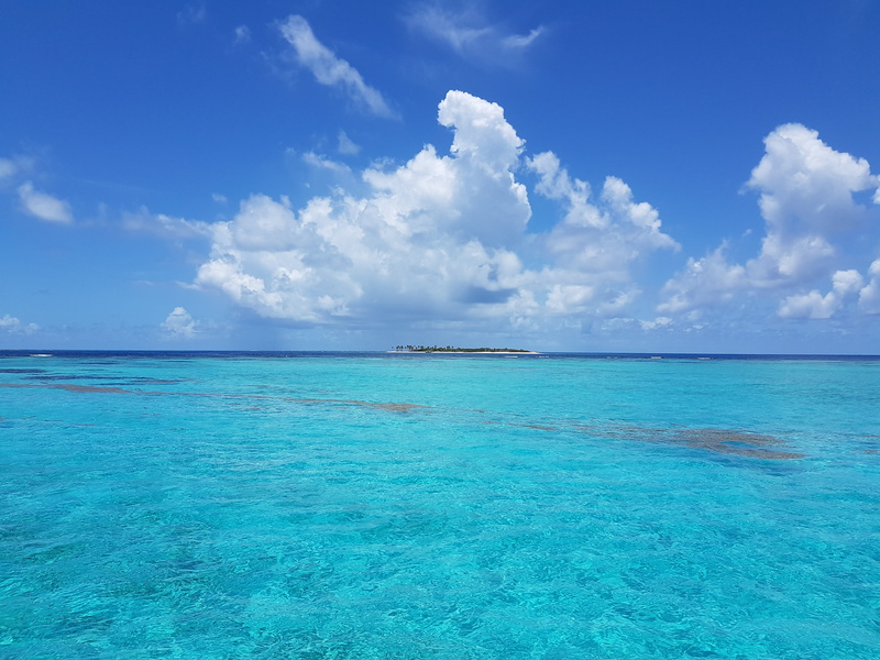 nature, turquoise colored, idyllic, tobago cays, sea, horizon over water, caribbean, land, scenics, sky, no people, water, paradise, beauty in nature, cloudy