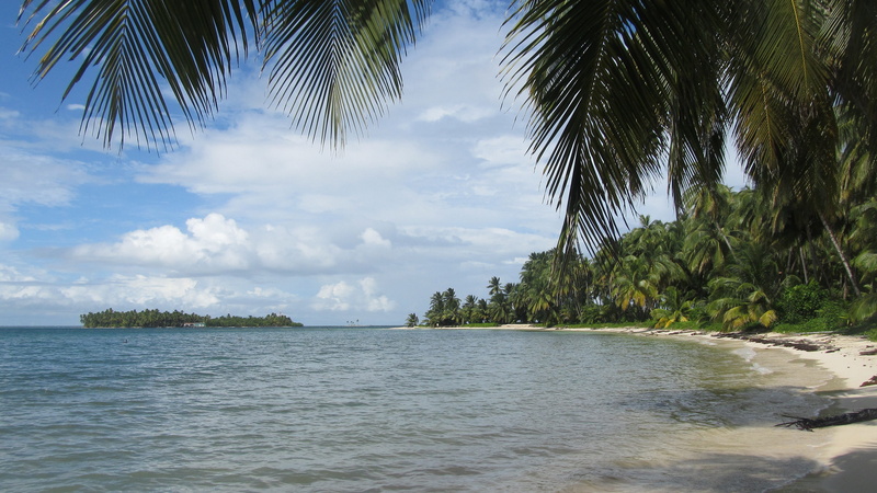 caribbean, land, beauty in nature, beach, tropical climate, tranquility, plant, idyllic, coconut palm tree, scenics - nature, palm tree, day, no people
