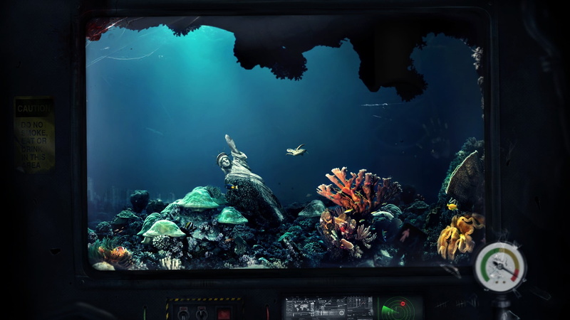 sea, animal wildlife, undersea, sea anemones, fish tank, aquarium, indoors, glass - material, animals in the wild, animal, photography, 1080P, vertebrate