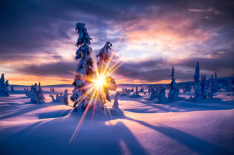 snow, trees, sun, 1080P, winter, paradis, the