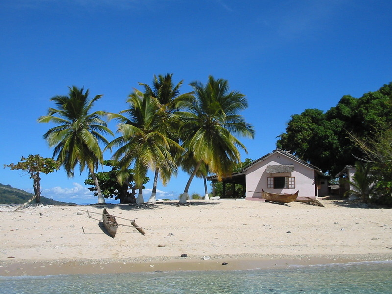 palm, beachshore, beauty in nature, day, tropical climate, sky, coconut, land, water, tree, scenics - nature, daytime, sea, nature, no people, Island, madagascar