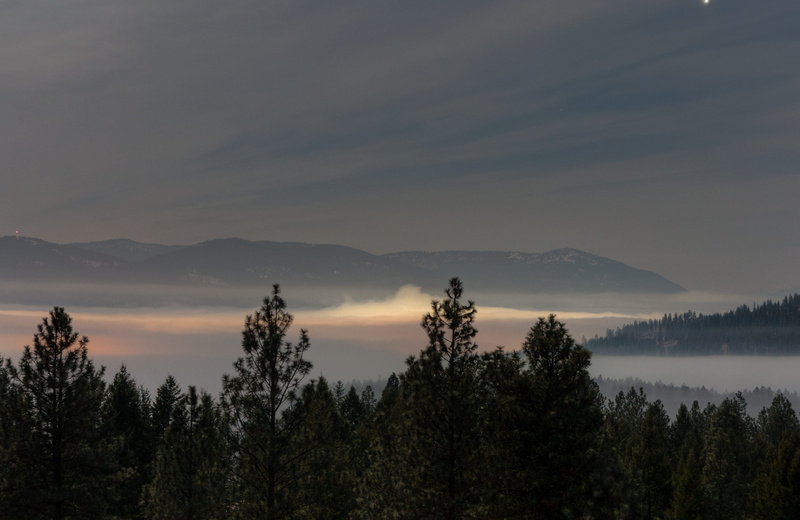 colville, snow, night photography, trees, idyllic, winter, tranquility, cloud - sky, growth, paradis peak, fog, outdoors, sky, non-urban scene, nature
