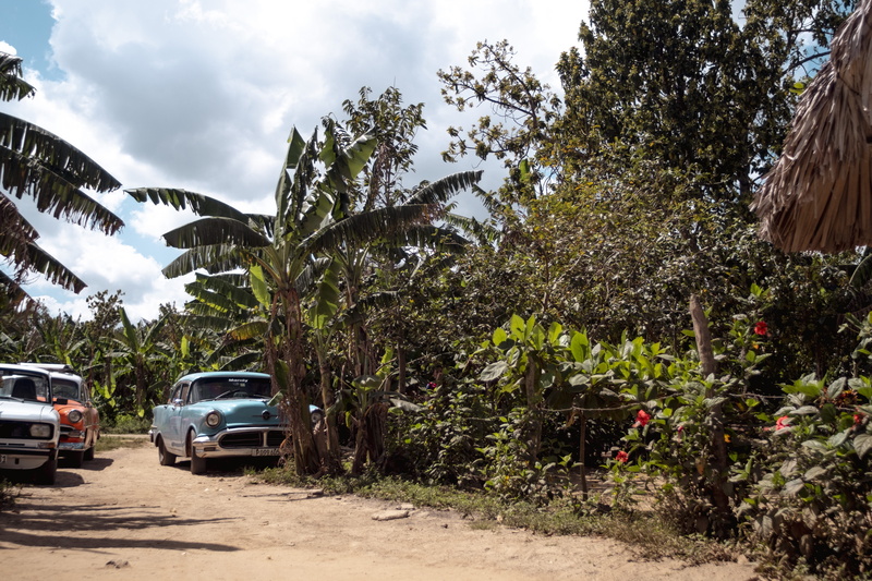 cuba, classiccar, farmliving, street, mode of transportation, beside, road, tropical climate, fujifilm, growth, plant, nature, daytime, trees, sky, parked