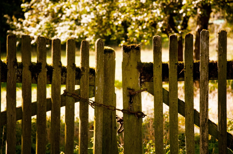 metal, 4K, haunting, safety, no people, rusted, plant, scenic, garden fence, sunlight, nature, protection, security, old, barrier, picket fence, summer