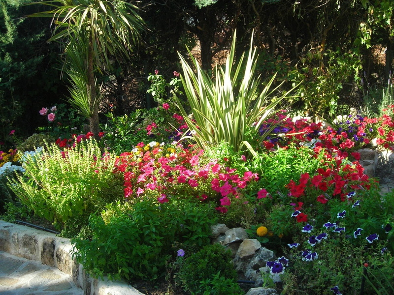 jardin, flores, 720P, plantas, naturaleza