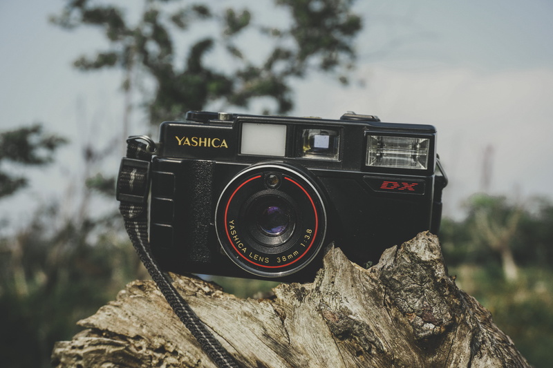 optics, rock, plant, tree, digital camera, log, black, no people, lens, yashica, single object, technology, zoom, focus on foreground, solid, 5K, camera lens