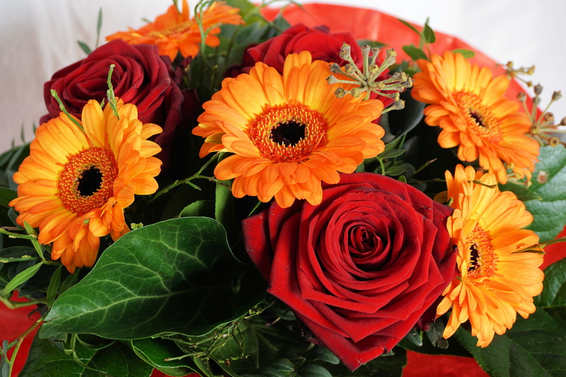 close-up, rose, growth, leaf, inflorescence, bouquet, colorful, freshness, flower arrangement, pollen, mothers day, bloom, arrangement, beauty in nature