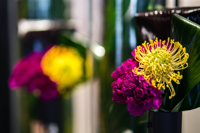 flower arrangement, close-up, pretty, colourful, beauty in nature, petal, indoors, flowers, arrangement, red, vase, 2K, vulnerability, nature, purple