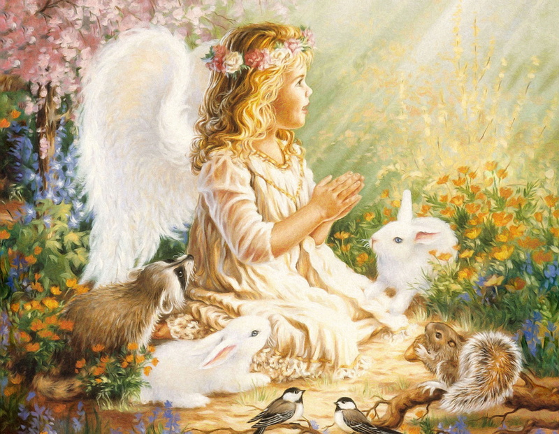 springtime, praying, sitting, chicken - Bird, day, representation, child, young Animal, hair, rabbits, nature, animal, mammal, adult, people, proteins