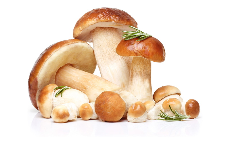 group of objects, macro, still life, fruit, bread, food, 2K, indoors, raw food, snack, studio shot, edible mushroom, food and drink, healthy eating, cut out