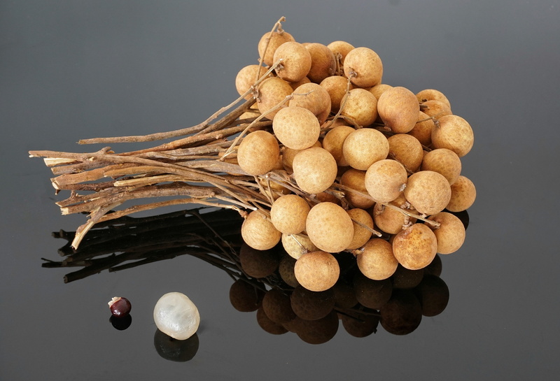 food and drink, large group of objects, nutrition, tree, desktop, dimocarpus longan, nature, gray background, pile, close-up, closeup, bunch food, cut out