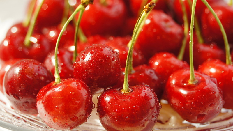 plant stem, close, object, fresh, fruit, sweet food, natural, vitamin, eating, shiny, wellbeing, still life, focus on foreground, group, healthy, cherry