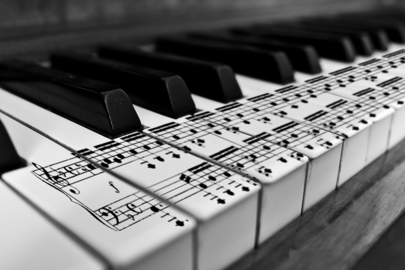 play, keyboard, technology, white, sound, creativity, close-up, 4K, black, string, synthesizer, indoors, musician, ivory, musical instrument string, hobbies