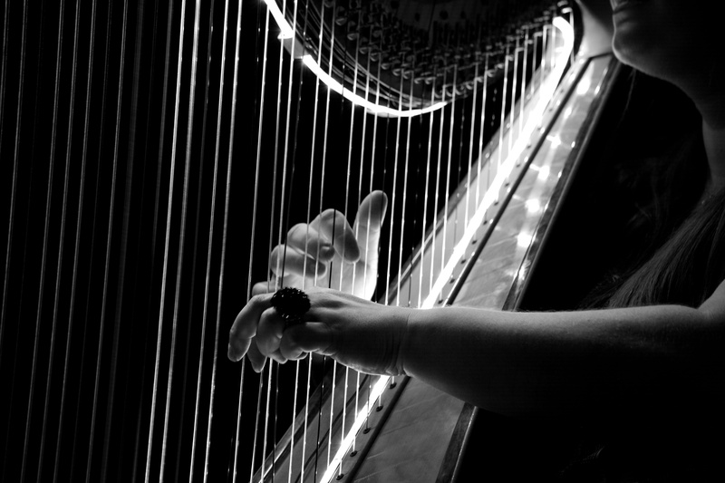 finger, women, string Instrument, human Hand, string, music, concert, indoors, musical Instrument, logo, classical Music, breysen, 5K, grayscale, adult