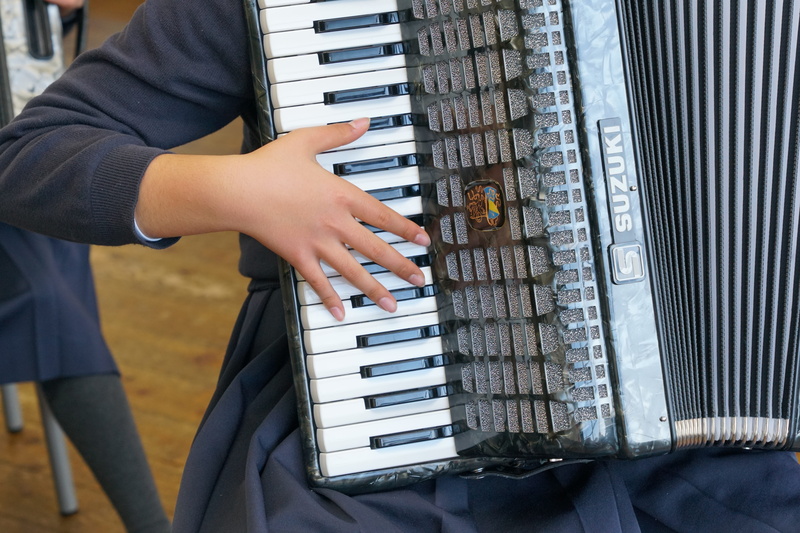 midsection, men, classical Music, people, sound, keyboard, focus on foreground, performer, musician, real people, leisure activity, Accordion, Music, indoors