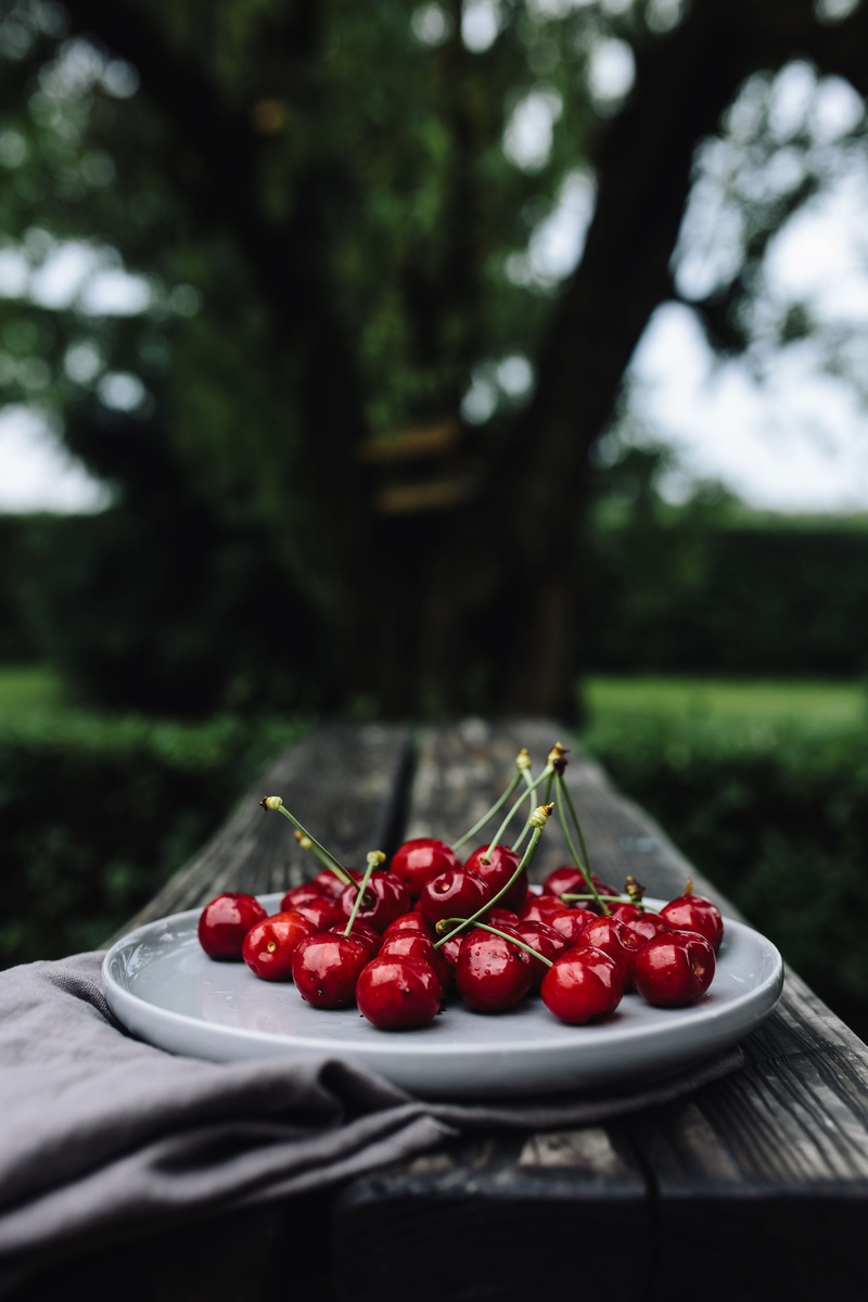 seasonal, cherry, dessert, day, no people, Cherries, simple, nature, tray, setting, fruit, berry Fruit, food and drink, food, sweet Food, outdoors, bowl