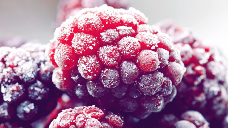 focus on foreground, gourmet, red, powdered sugar, white, temptation, violet, summer, berry Fruit, dessert, sweet, food, close-up, ice, raspberries, backgrounds