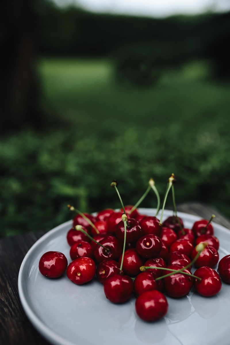 organic, nature, Fresh, Cherries, healthy Eating, fruits, dessert, juicy, still life, red, plant stem, ripe, sweet Food, fruit, seasonal, gourmet, focus on foreground