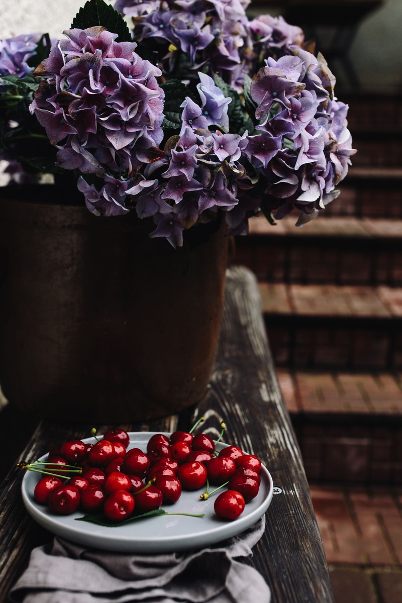 no people, nature, freshness, close-up, wellbeing, vase, beauty in nature, healthy, simple, 4K, fruit, summer, fruits, table, Cherries, Fresh, plant, wood - Material