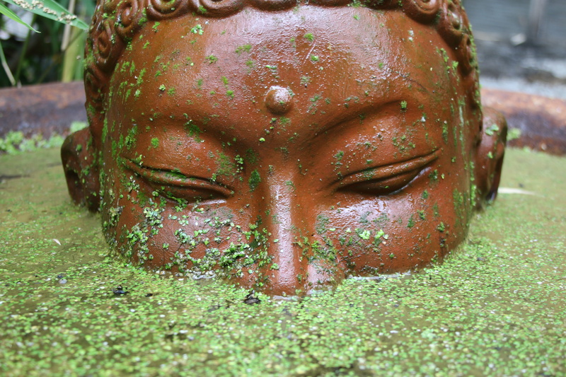 representation, grass, photosynthesis, Water, focus on foreground, nature, creativity, sculpture, carving - craft product, spirituality, religion, male likeness