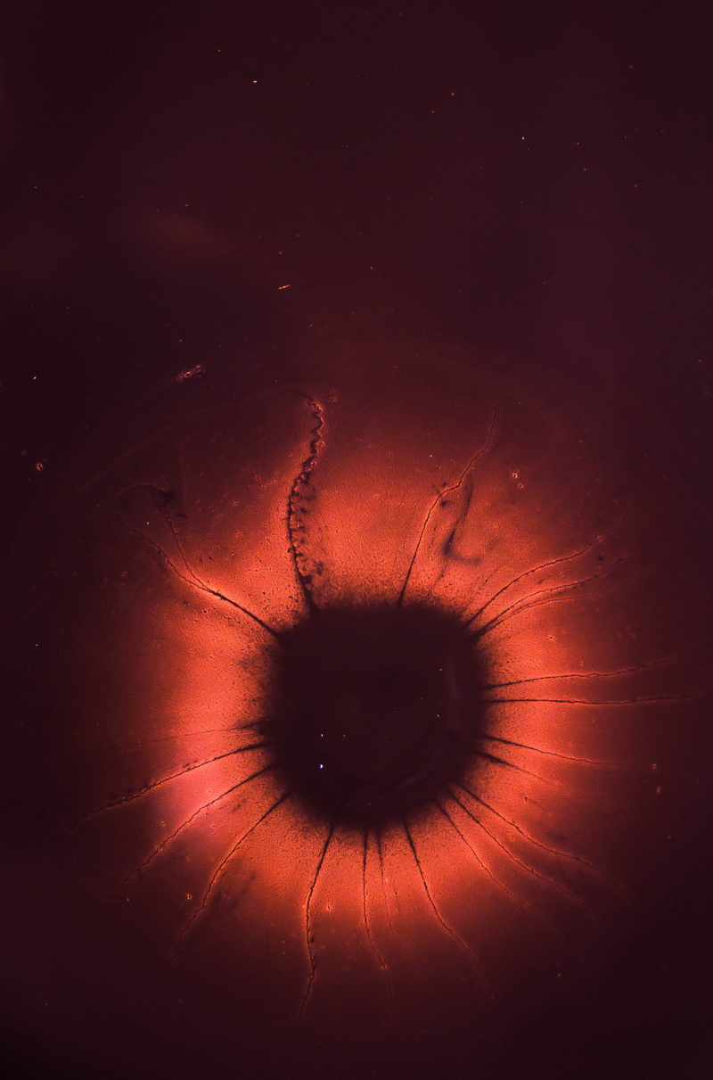 eyesight, pattern, color, indoors, microscope, iris - eye, texture, eyeball, red, science, mystery, backgrounds, close-up, water, human eye, eye, digital