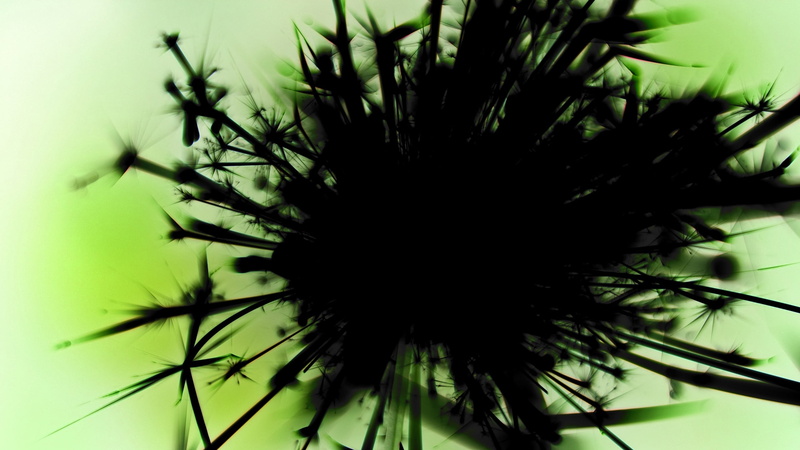 growth, outdoors, black, summer, spiky, dandelion seed, day, selective focus, flower, tree, nature, green color, fragility, flowering plant, freshness