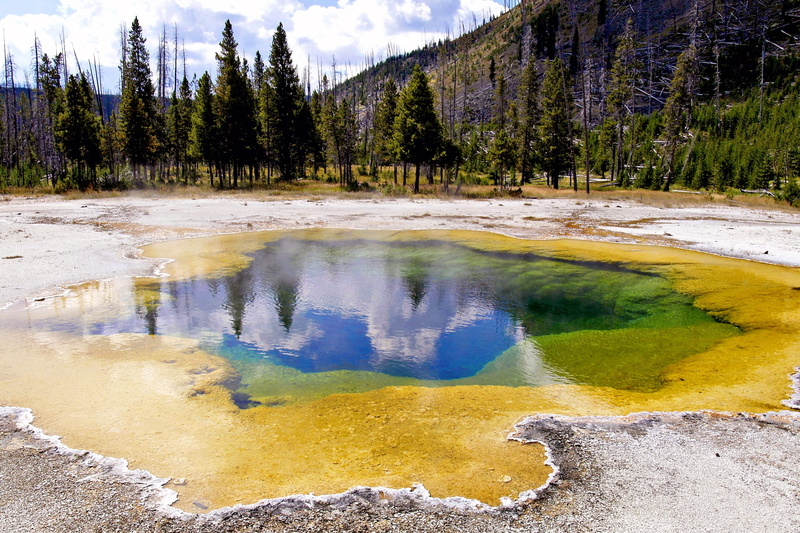 Colorful, yellowstone, tranquil scene, wyoming, non-urban scene, geyser, heat - temperature, tree, 2K, geology, beauty in nature, power in nature, nature